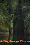 Whanganui River 7616
